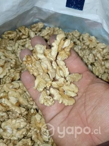 Nueces del año