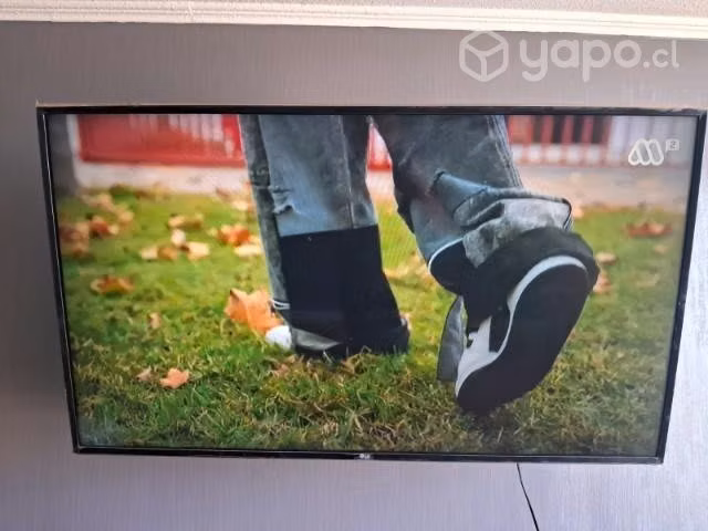 Smart tv