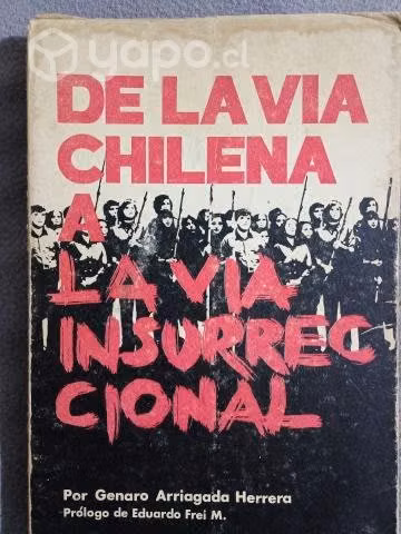 De la via chilena a la via insurreccional.