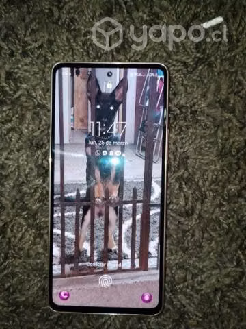 Teléfono Samsung  A53