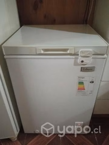 Conservadora 100 litros