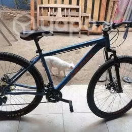 Bicicleta marca best aro 29