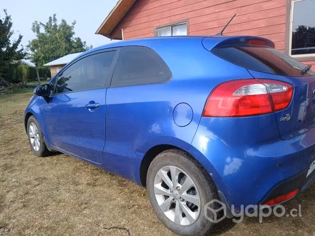 Kia motors 2013