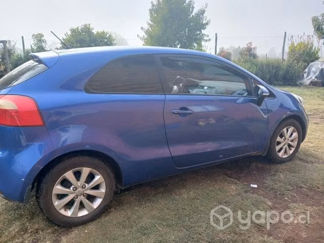 Kia motors 2013