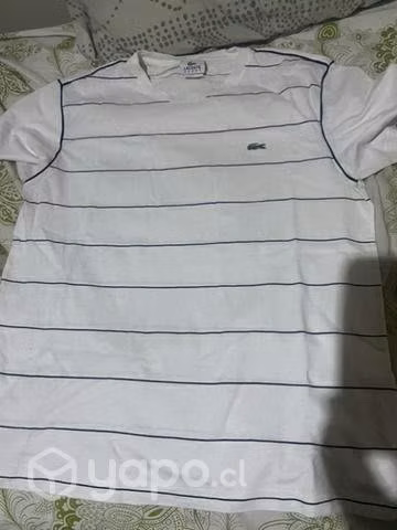 Polera lacoste - Imagen 2