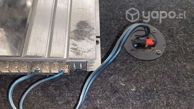 Bajo y amplificador - Imagen 3