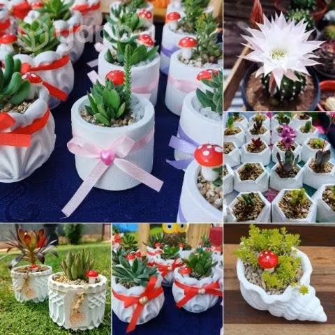 Souvenir para tus eventos