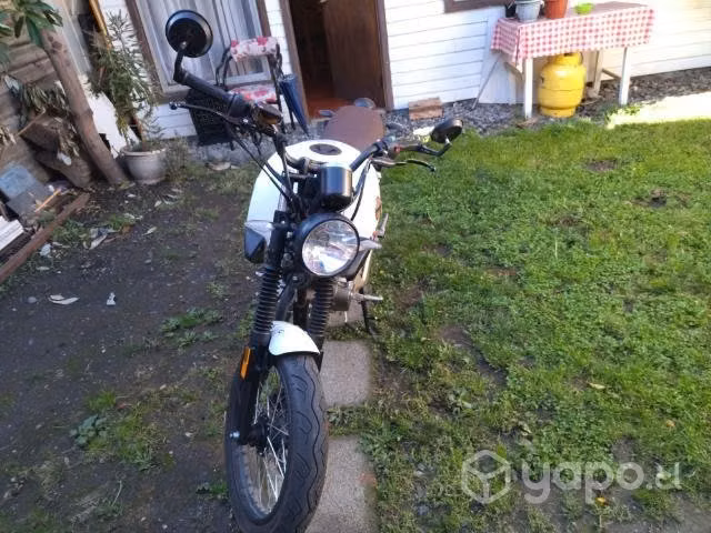 Moto euromot vintage cafe 2022