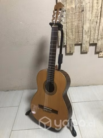 Guitarra Clásica Raimundo