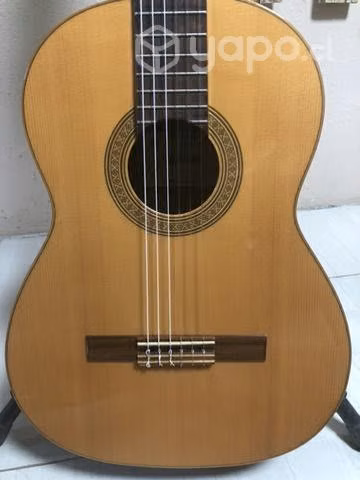 Guitarra Clásica Raimundo