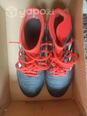 Zapatillas futbol Adidas Predator