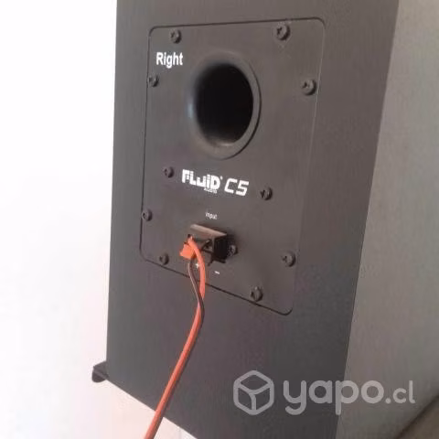 Monitores Fluid Audio C5