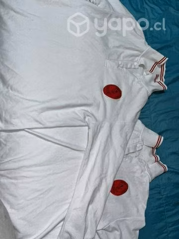 Poleron y poleras colegio masters college - Imagen 2