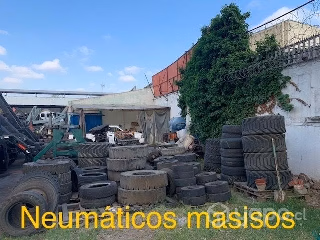 Neumático
