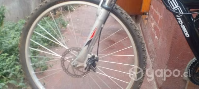 Bicicleta - Imagen 5