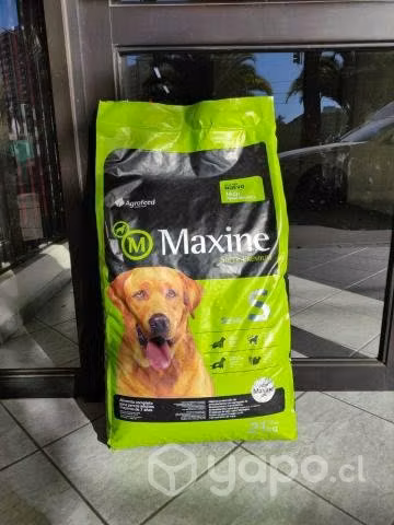 Alimento para Perro Maxine Senior 21kg