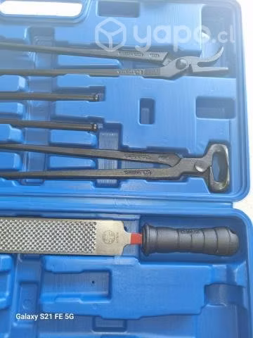 Mustad para herrar - Imagen 5