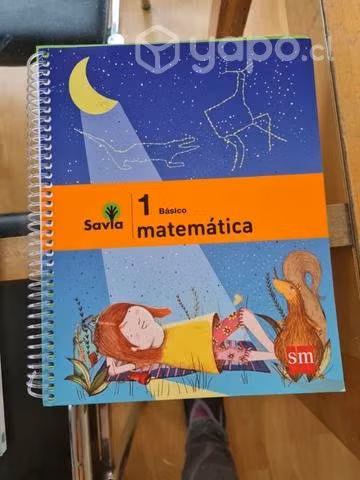 Libro primero básico SM