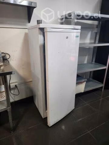 Congelador VerticalFV200