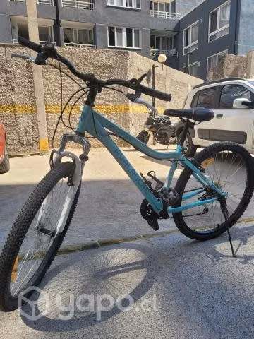 Bicicleta avalanche montana - Imagen 3