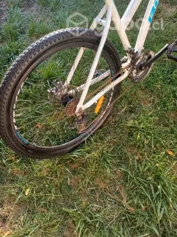 Bicicleta bianchi vento, mujer, ar26, color blanco