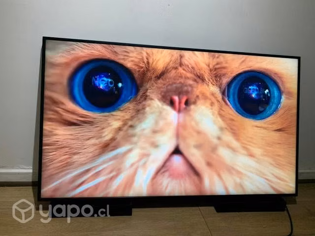 Pantalla Comercial SAMSUNG 55" QM55R