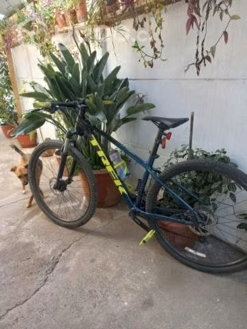 Bicicleta trek marlin 5 2022