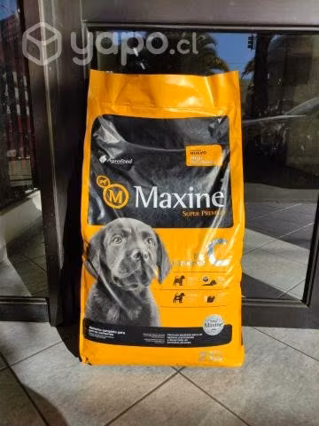 Alimento para Perro Maxine Cachorro 21kg