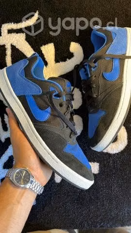 Nike Sb Aleyoop