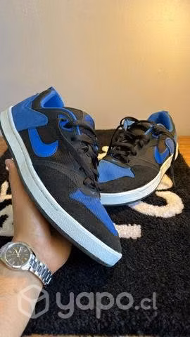 Nike Sb Aleyoop - Imagen 2