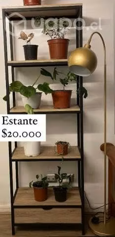 Estante