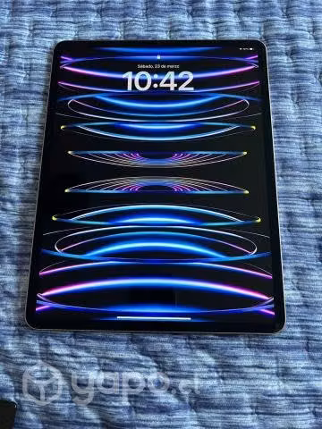 IPad Pro de 12,9" de 256 GB