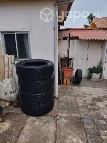 Neumàticos