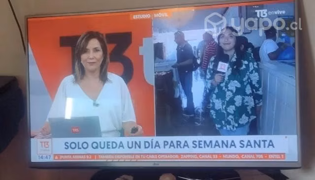 Televisor