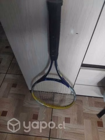 Raqueta Teloon 538