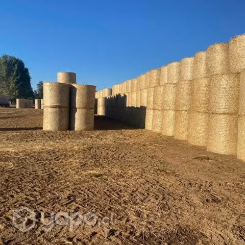 Bolos de paja