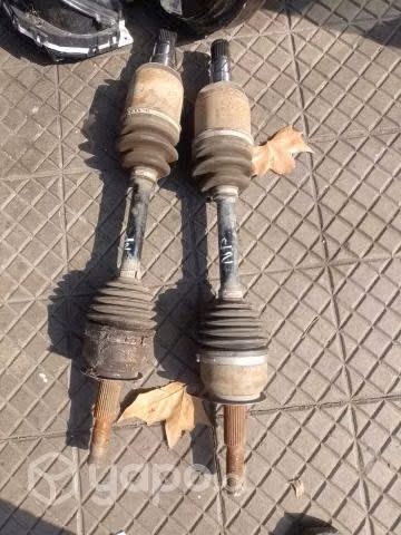 Homocineticas np300