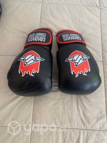 Guantes de box Gradivus, cuero, 14oz