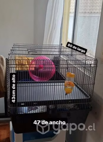 Jaula para Exóticos pequeños