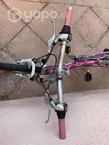 Bicicleta trek aro 24 - Imagen 4