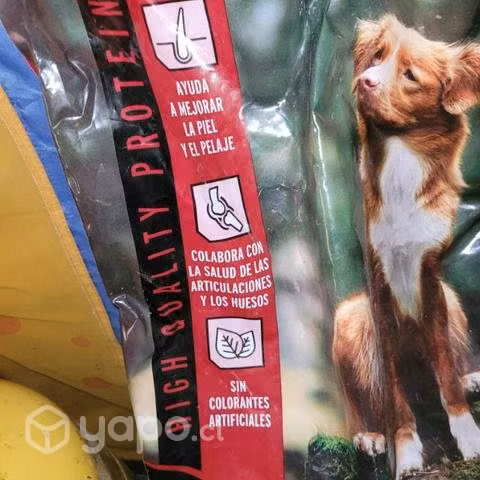 Comida perro premium
