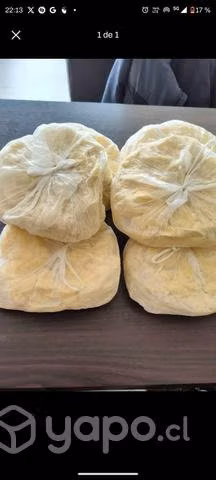 Colas de queso