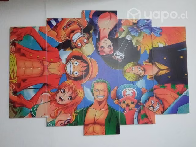 Cuadro de one piece
