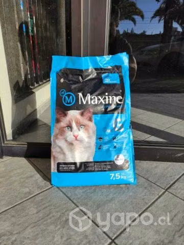 Oferta en Alimento Gato Maxine Adulto