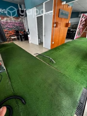 Limpieza de alfombras muro a muro