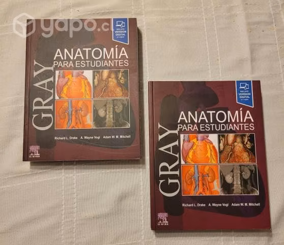 Anatomia para estudiantes - GRAY