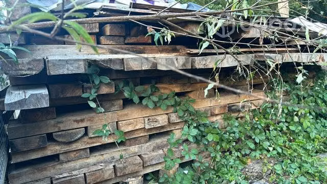 Vigas de Roble