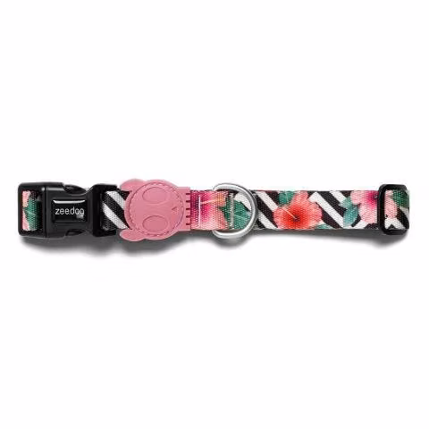 Collar para perros Zeedog