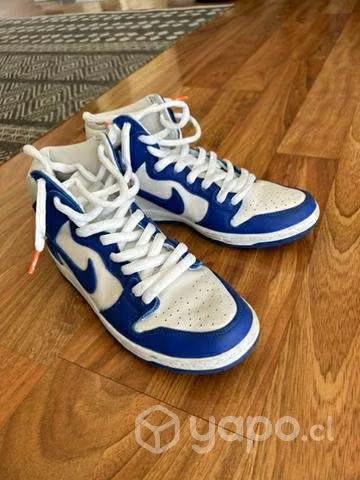 Nike dunk sb