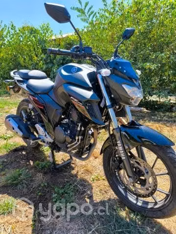 Yamaha fz 25 motor 250